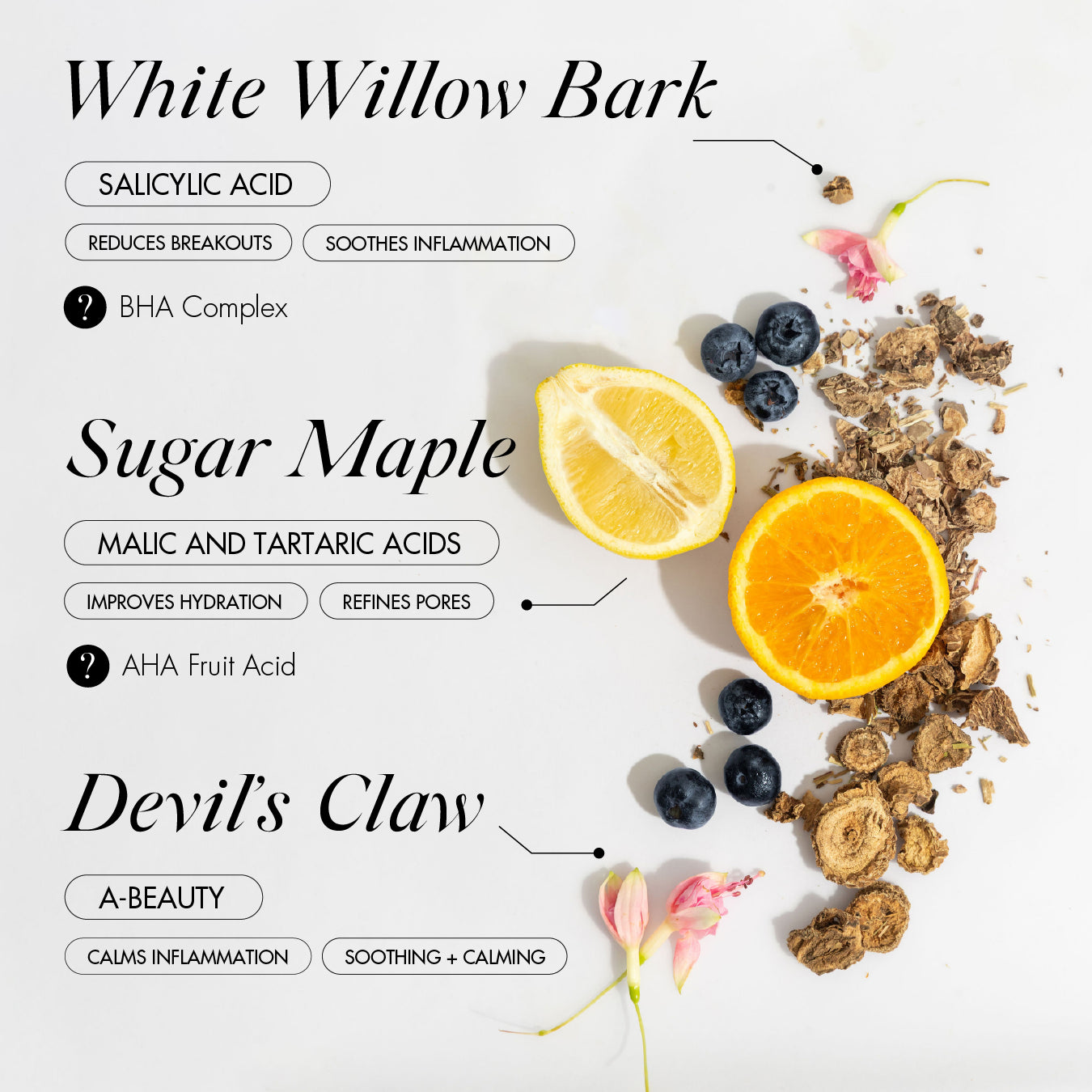 Fruitful Radiance Hero Ingredients with white willow bark, sugar maple and devil's claw