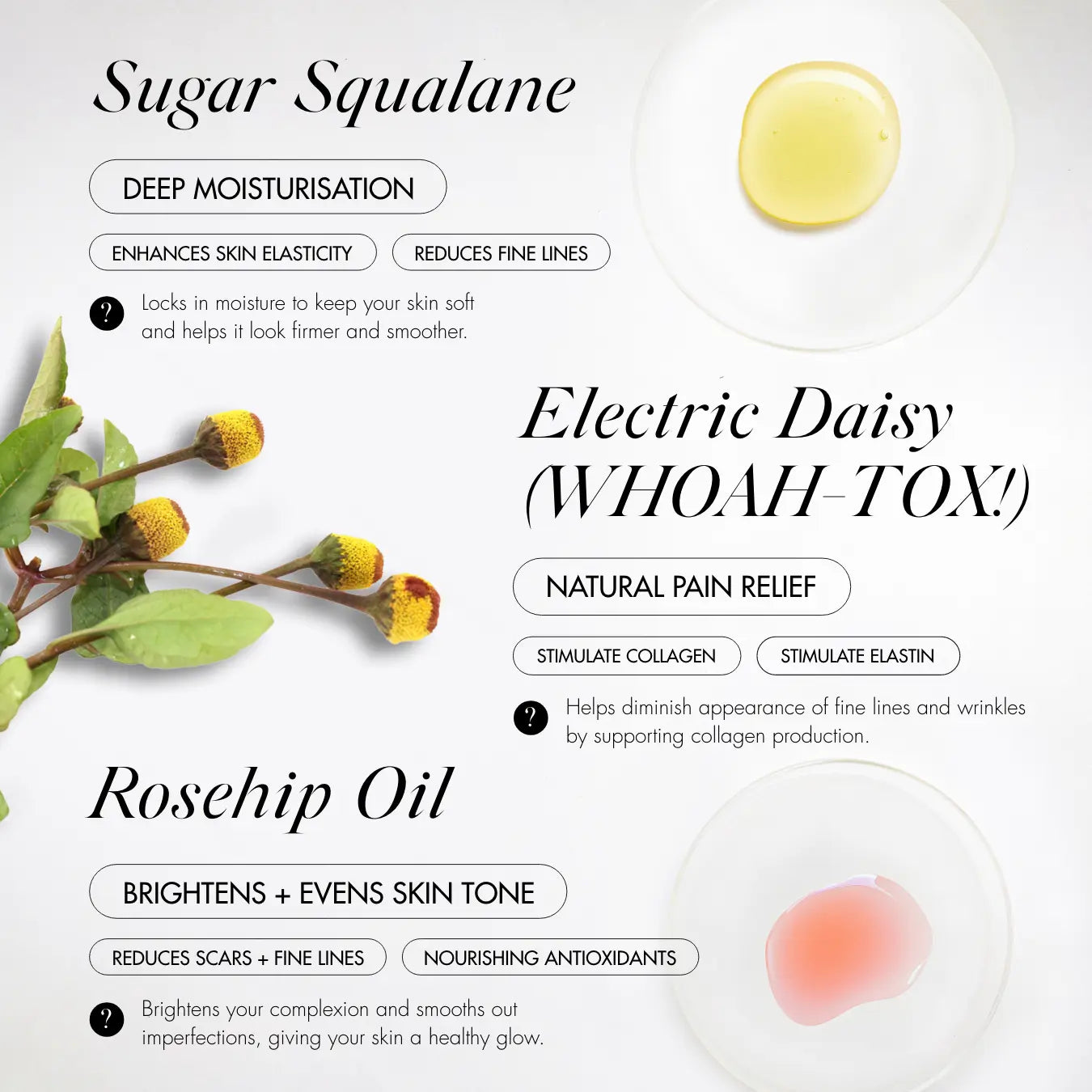 ROSEGOLD Deep Tissue Face Concentrate ingredients