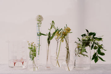 SKOON. RESPONSE TO COVID-19 PANDEMIC