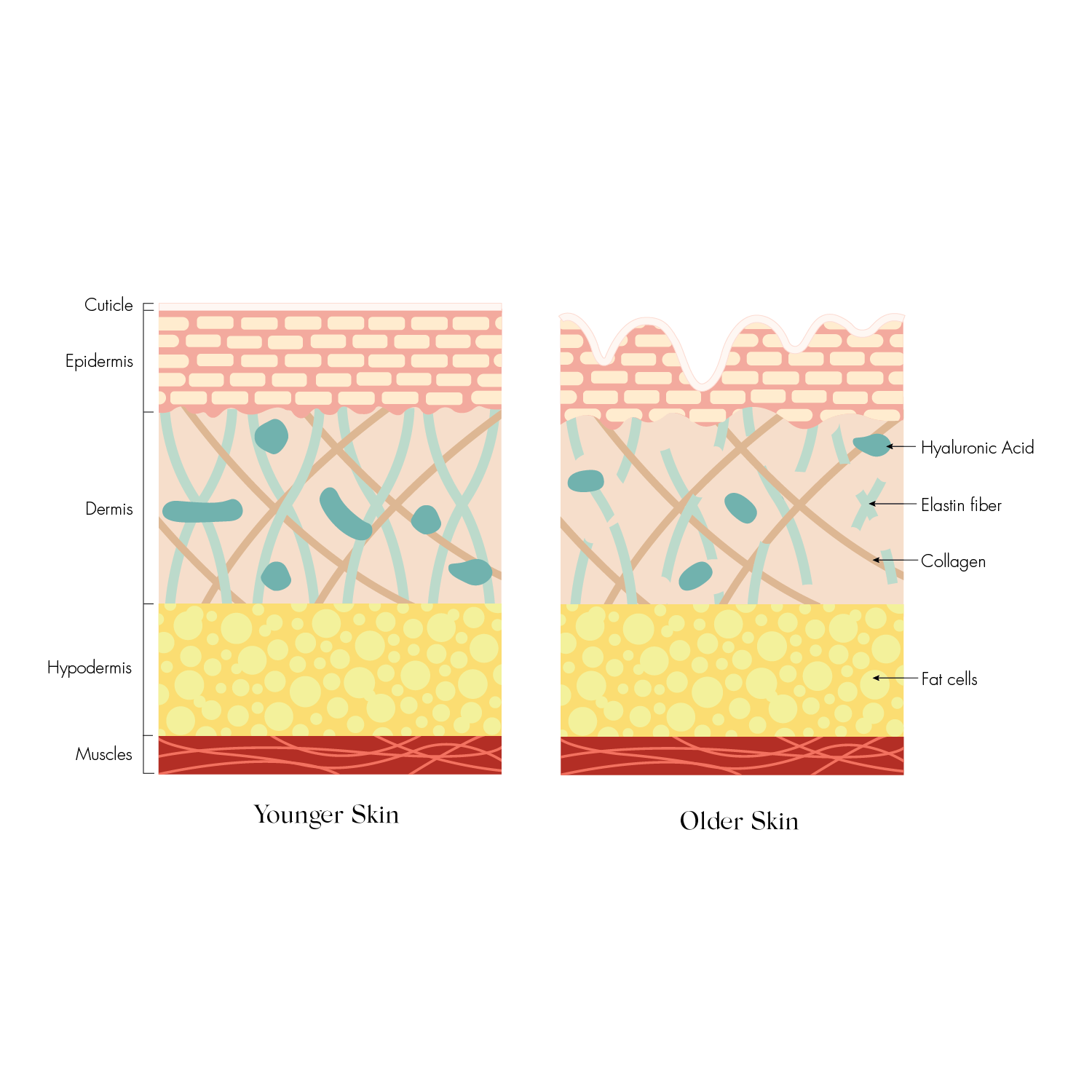 Course Skin Buy SKOON. GLOWDROPS Bouncy Skin Face Concentrate Online