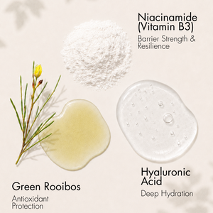 B3 DEFENSE Barrier Repair Waterless Serum Pillows