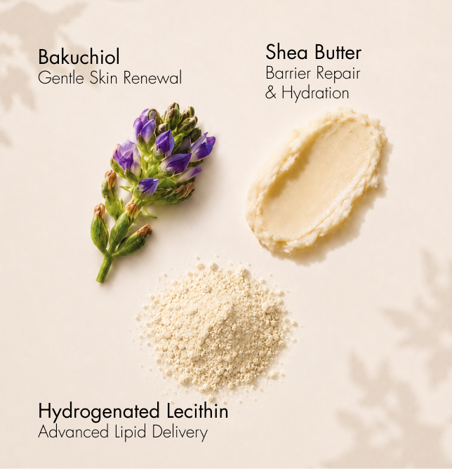 BAKU-GLOW Gentle 1% Bakuchiol Resurfacing Cream