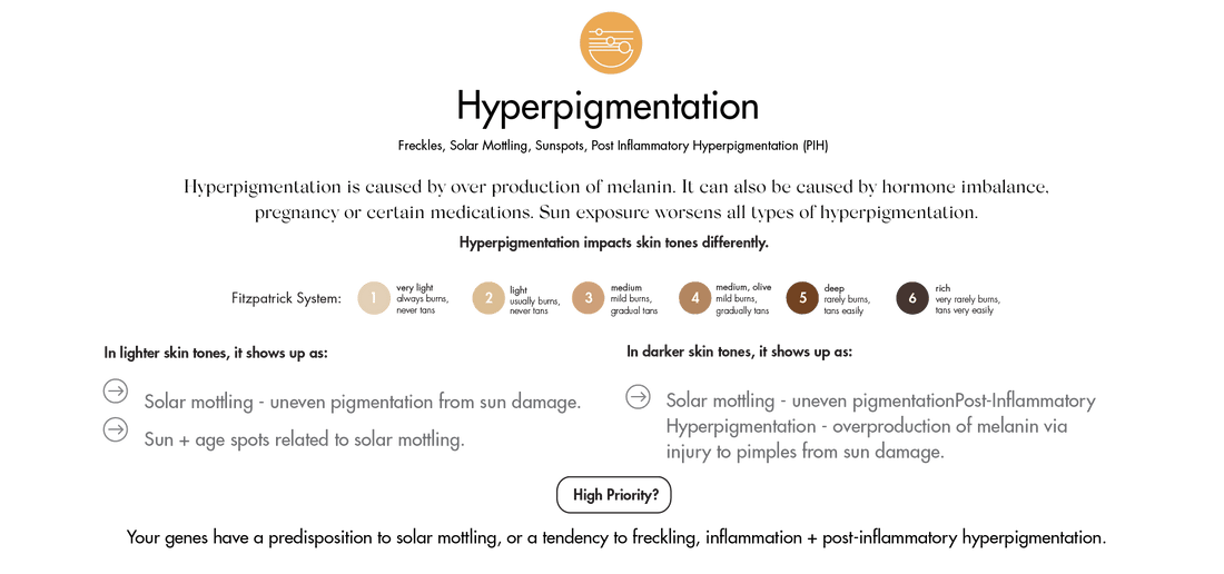 Explore SKOON. DNA Skin Testing