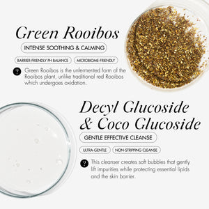 DOUBLE CLEANSE Heroes