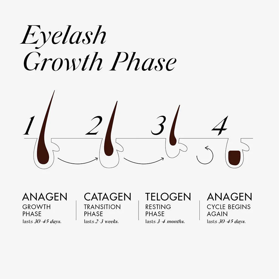 OOH LA LA Lash and Brow Fortifying Serum