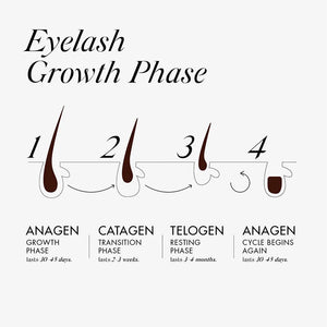 OOH LA LA Lash and Brow Fortifying Serum