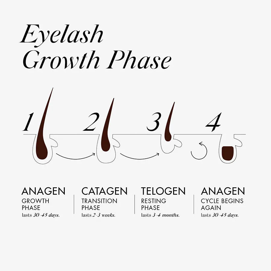 OOH LA LA Lash and Brow Fortifying Serum