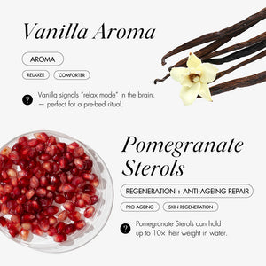 SOENTJIES® Overnight Repair Lip Mask