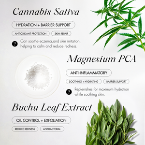 SKIN PJ's Activator Face Mist